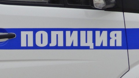 В Опочецком районе стражами порядка раскрыты кражи из дачных домов